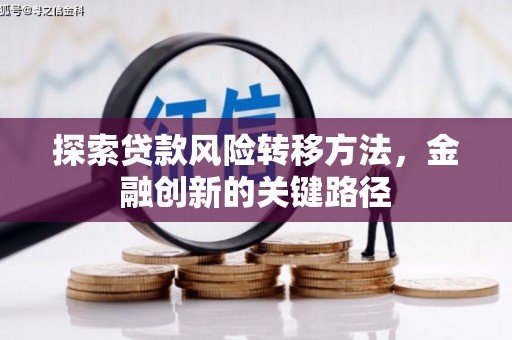 峨眉探索贷款风险转移方法，金融创新的关键路径