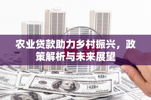 峨眉农业贷款助力乡村振兴，政策解析与未来展望