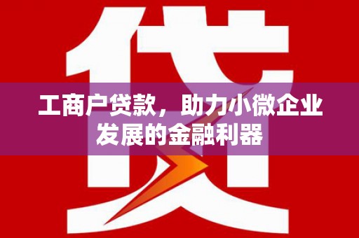 峨眉工商户贷款，助力小微企业发展的金融利器