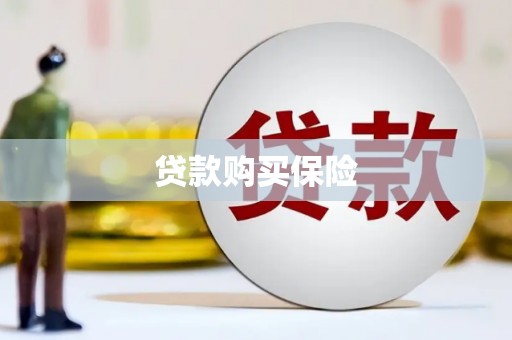 峨眉贷款购买保险