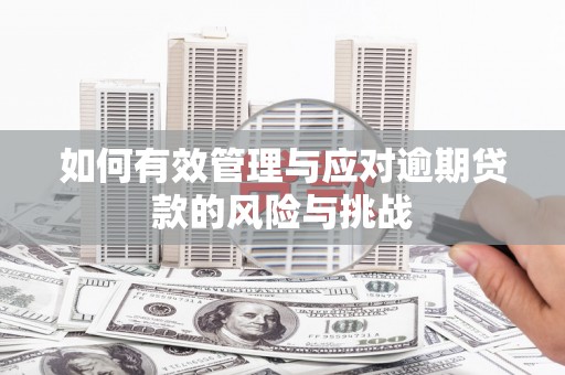 峨眉如何有效管理与应对逾期贷款的风险与挑战