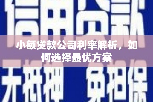 峨眉小额贷款公司利率解析，如何选择最优方案