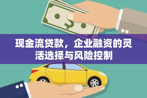峨眉现金流贷款，企业融资的灵活选择与风险控制