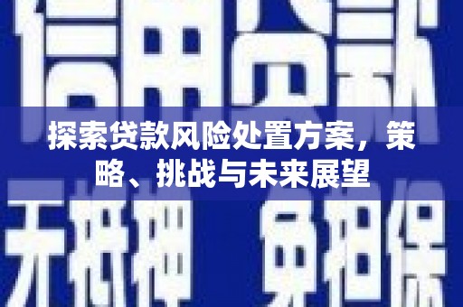 峨眉探索贷款风险处置方案，策略、挑战与未来展望