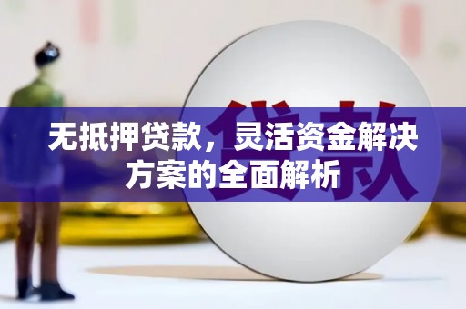 峨眉无抵押贷款，灵活资金解决方案的全面解析