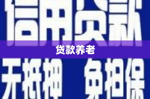 峨眉贷款养老