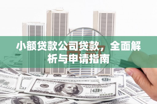 峨眉小额贷款公司贷款，全面解析与申请指南