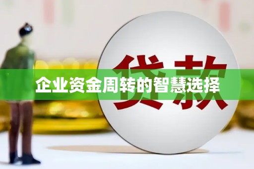 峨眉企业资金周转的智慧选择