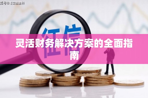 峨眉灵活财务解决方案的全面指南