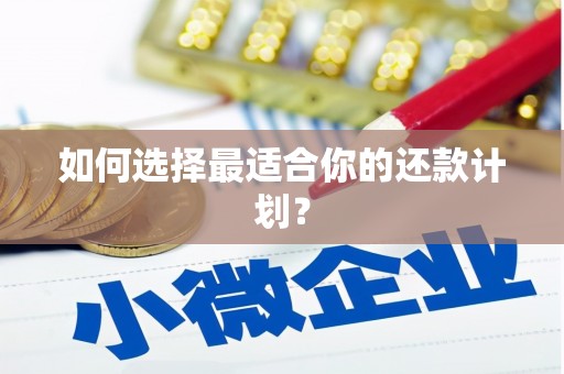 峨眉如何选择最适合你的还款计划？