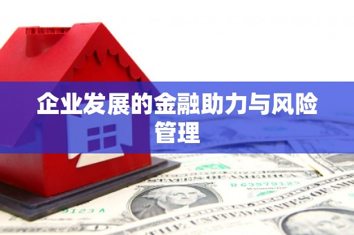 峨眉企业发展的金融助力与风险管理