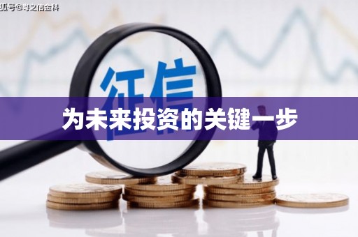 峨眉为未来投资的关键一步