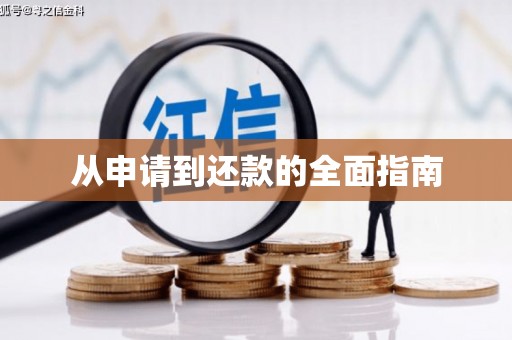 峨眉从申请到还款的全面指南