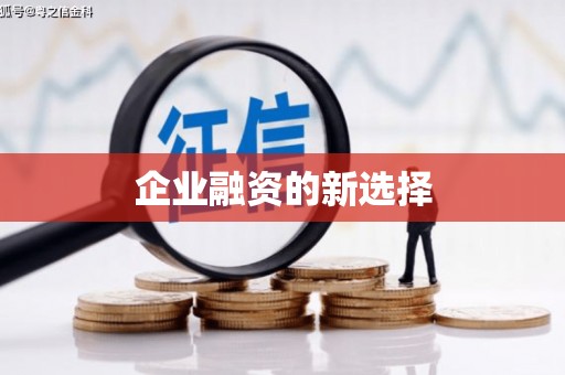 峨眉企业融资的新选择