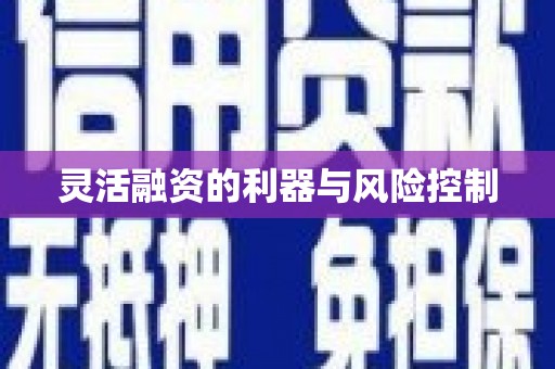 峨眉灵活融资的利器与风险控制