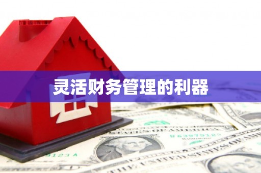峨眉灵活财务管理的利器