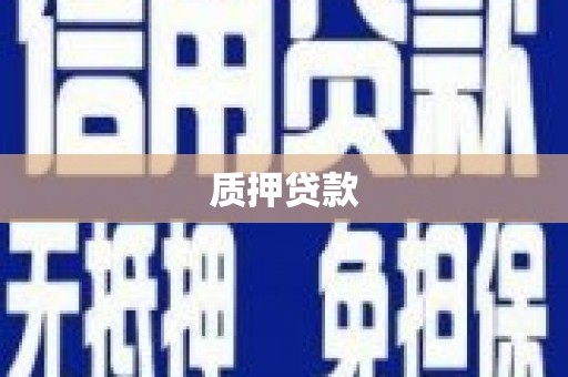 峨眉质押贷款