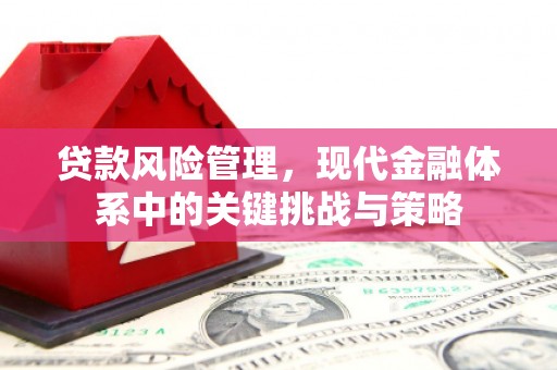 峨眉贷款风险管理，现代金融体系中的关键挑战与策略