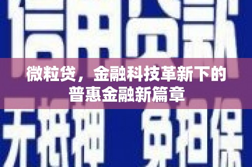 峨眉微粒贷，金融科技革新下的普惠金融新篇章