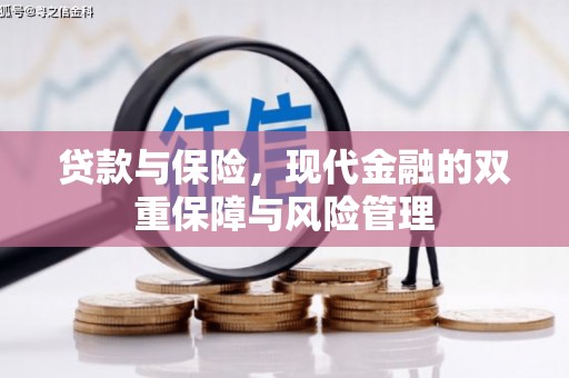 峨眉贷款与保险，现代金融的双重保障与风险管理