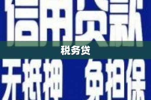 峨眉税务贷