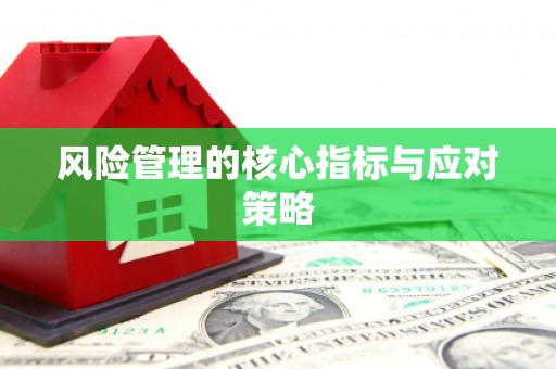 峨眉风险管理的核心指标与应对策略