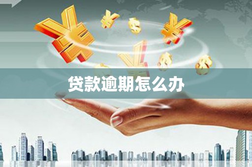 峨眉贷款逾期怎么办