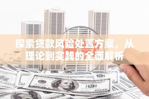峨眉探索贷款风险处置方案，从理论到实践的全面解析