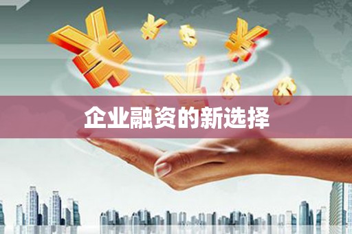 峨眉企业融资的新选择