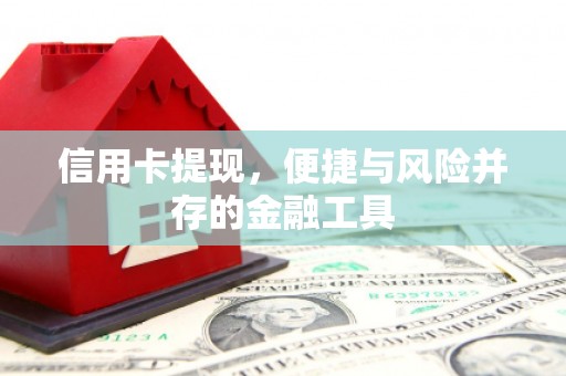 峨眉信用卡提现，便捷与风险并存的金融工具