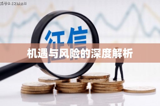 峨眉机遇与风险的深度解析