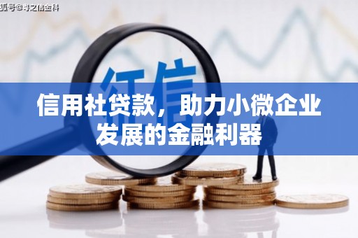 峨眉信用社贷款，助力小微企业发展的金融利器