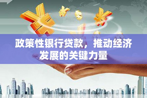 峨眉政策性银行贷款，推动经济发展的关键力量