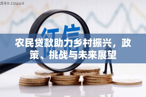 峨眉农民贷款助力乡村振兴，政策、挑战与未来展望