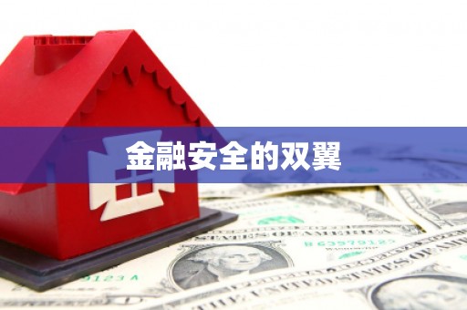 峨眉金融安全的双翼