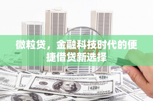 峨眉微粒贷，金融科技时代的便捷借贷新选择