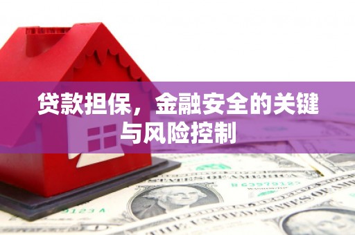 峨眉贷款担保，金融安全的关键与风险控制