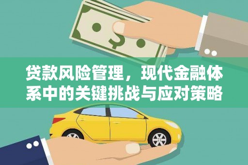 峨眉贷款风险管理，现代金融体系中的关键挑战与应对策略