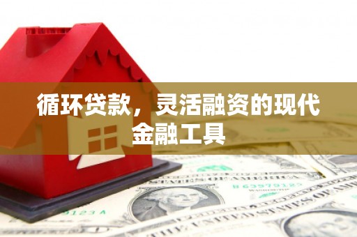 峨眉循环贷款，灵活融资的现代金融工具