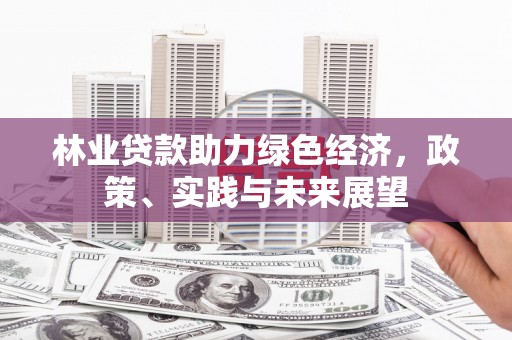 峨眉林业贷款助力绿色经济，政策、实践与未来展望