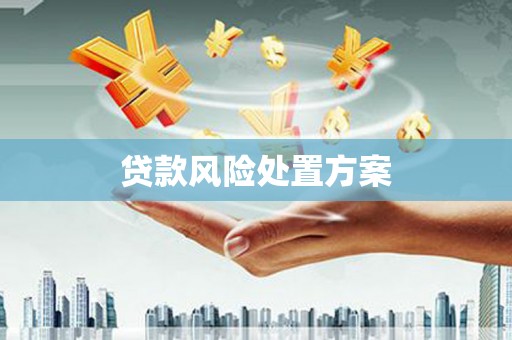 峨眉贷款风险处置方案