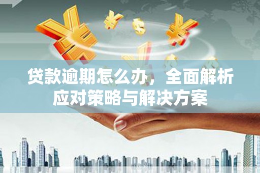 峨眉贷款逾期怎么办，全面解析应对策略与解决方案