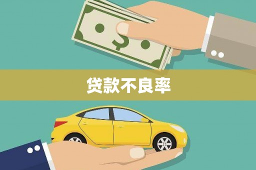 峨眉贷款不良率