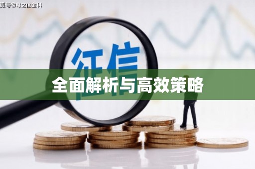 峨眉全面解析与高效策略