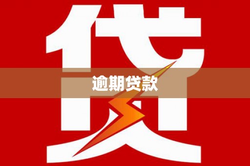 峨眉逾期贷款