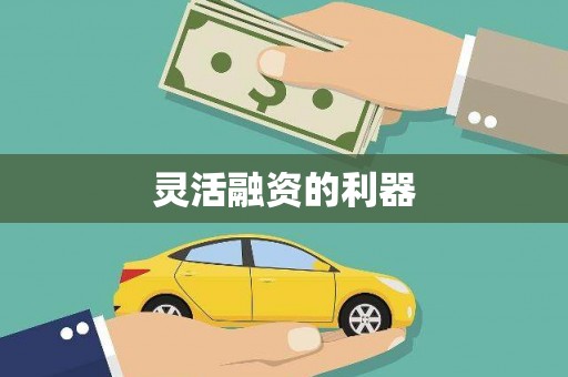 峨眉灵活融资的利器