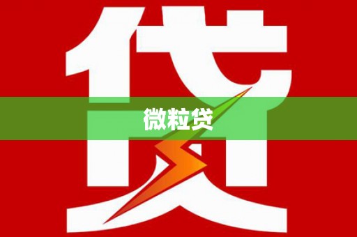 峨眉微粒贷