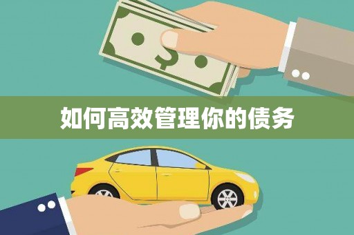 峨眉如何高效管理你的债务
