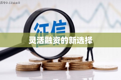 峨眉灵活融资的新选择