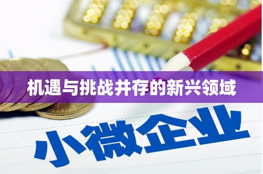 峨眉机遇与挑战并存的新兴领域